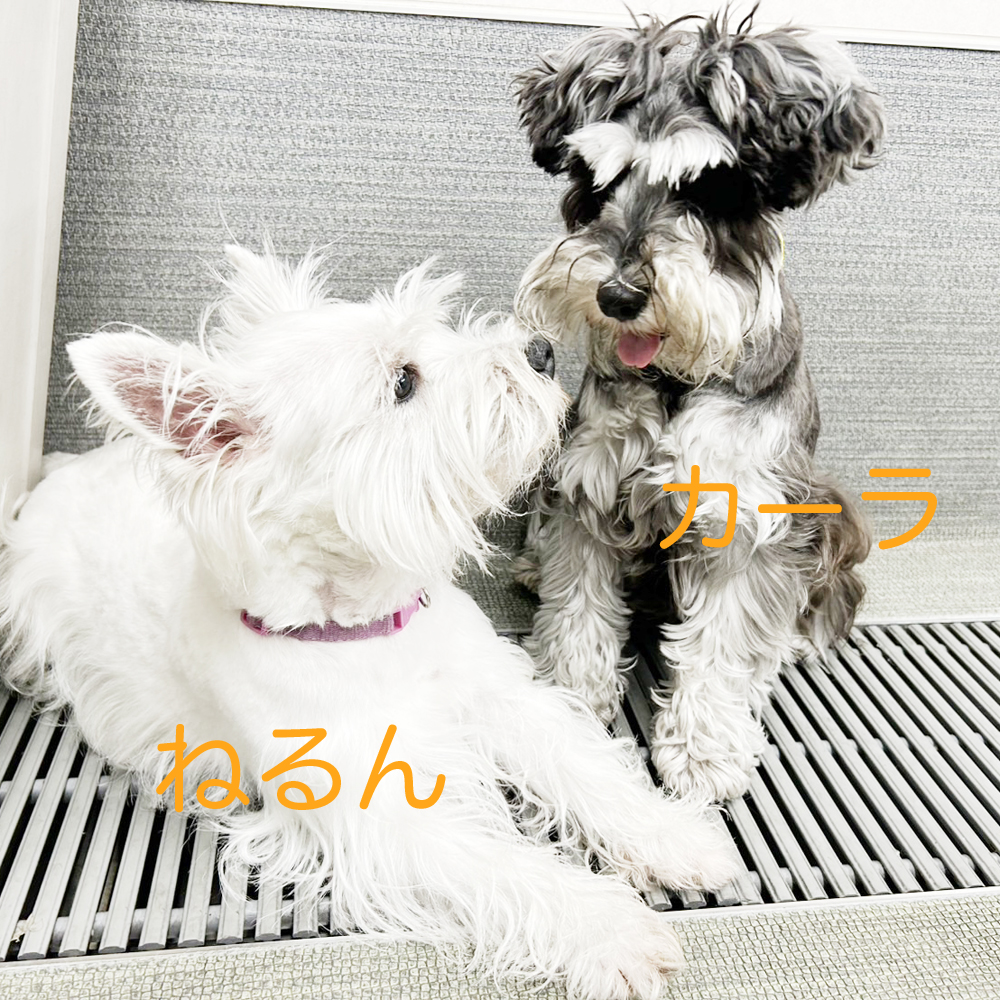 生徒が撮影してくれた写真①